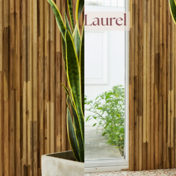 REVESTIMIENTO LAUREL 18MMX11,5CMX2.60MT