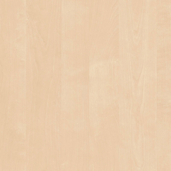 FILO MELAMINA X10ML ABEDUL 50PREEN