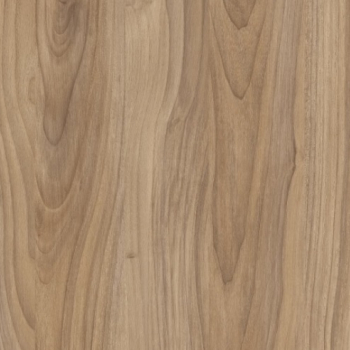 PLACAS SCOTCH 18MM 183X275 AGLOMERADO