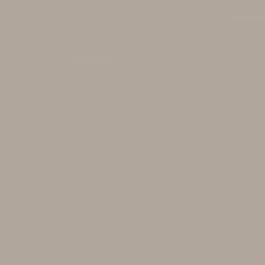 PLACAS TAPIR 18MM 183X275 AGLOMERADO