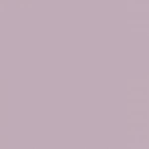 PLACAS AMATISTA 18MM 183X275 AGLOMERADO