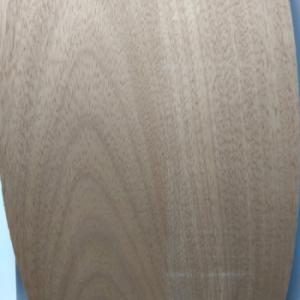 CHAPAS PREENCOLADAS X ML. CEDRO ANCHOS VARIOS