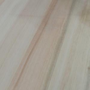 EUCALIPTUS CORT. X P2