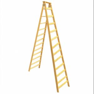 13-ESCALE PINT SALIGNA 12 ESCALONES