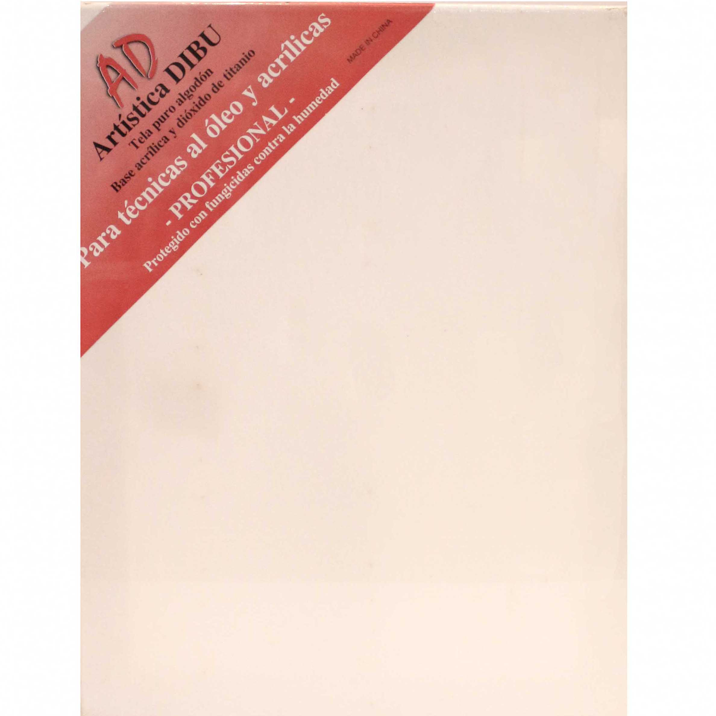 Imagen 13-BASTIDOR V3 20X80