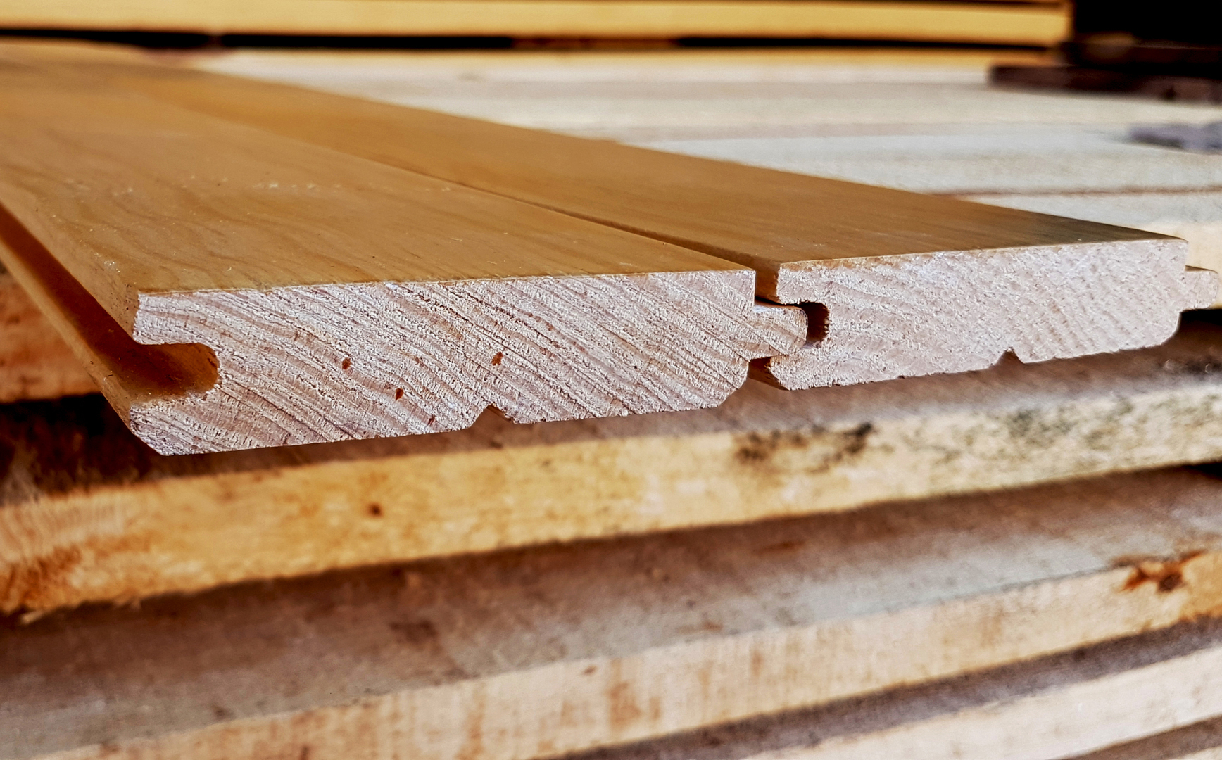 Imagen MACHIMBRE PINO 1