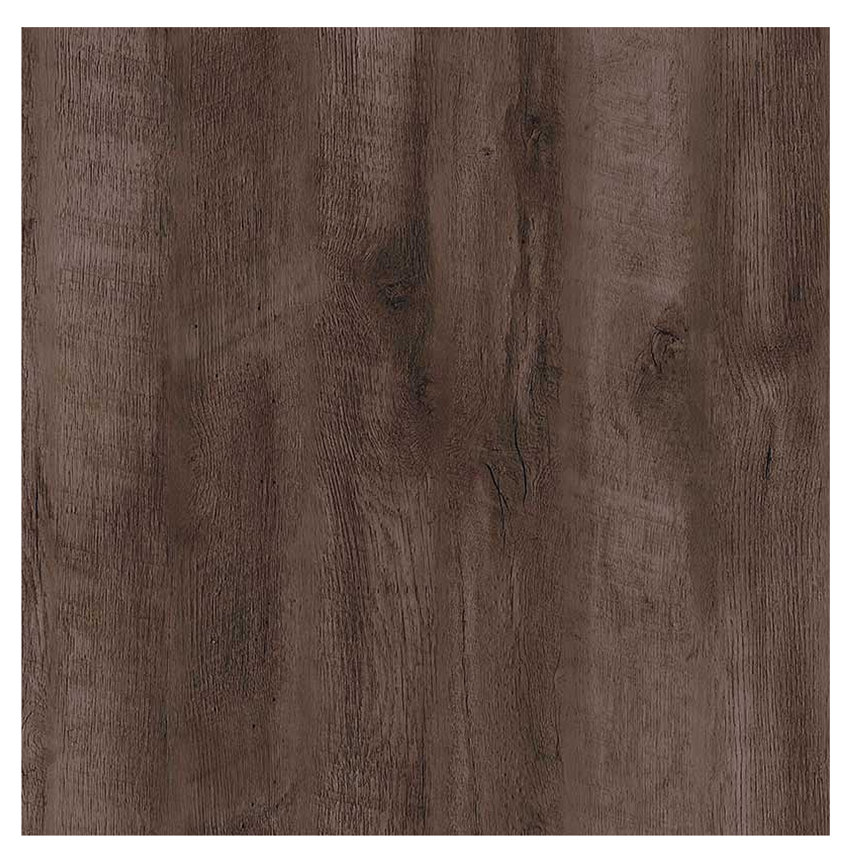 Imagen FONDO 5.5MM  CORT TERRARUM