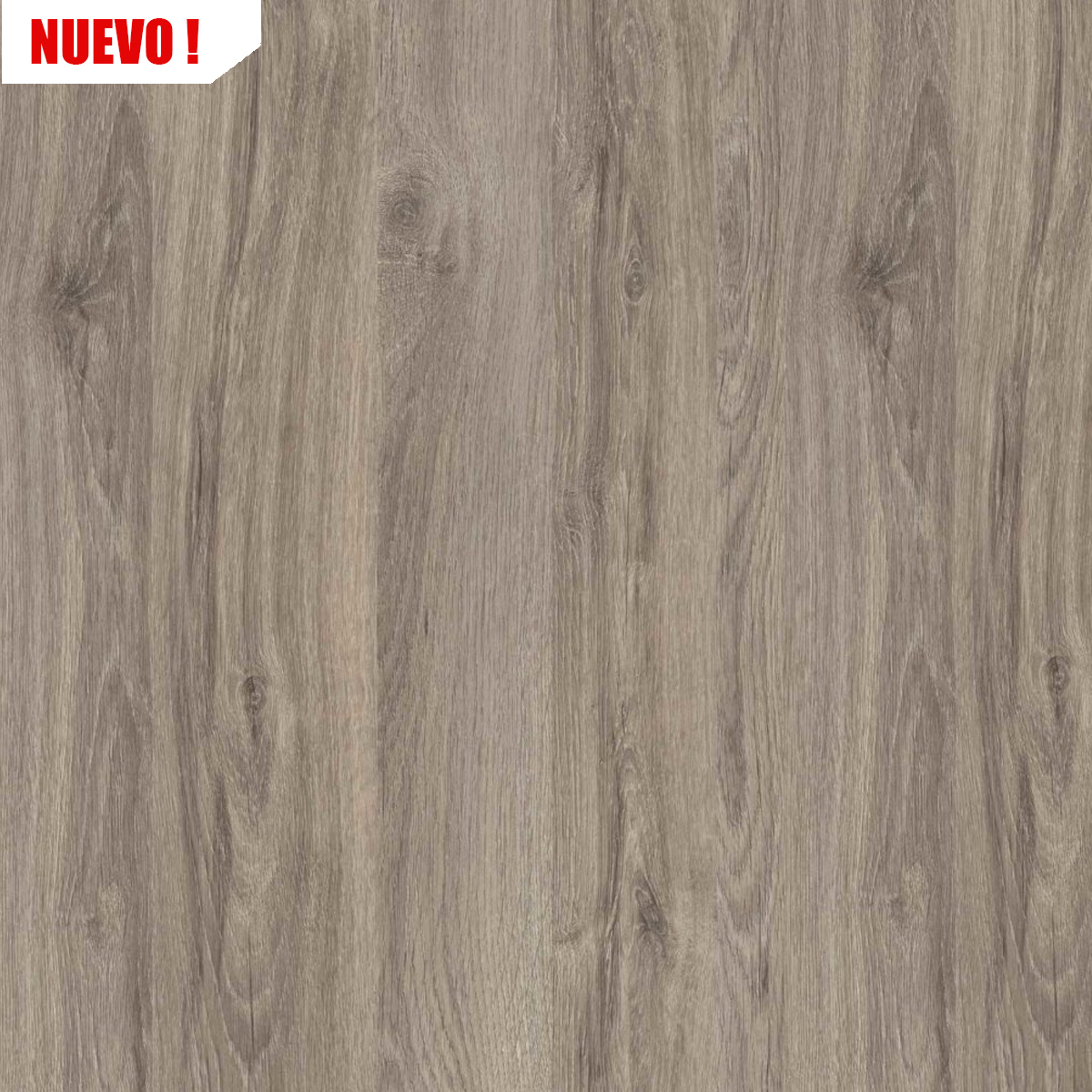 FONDO 5.5MM  CORT BALTICO