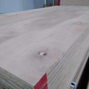 FENOL. 12MM 3/4 GRANDIS